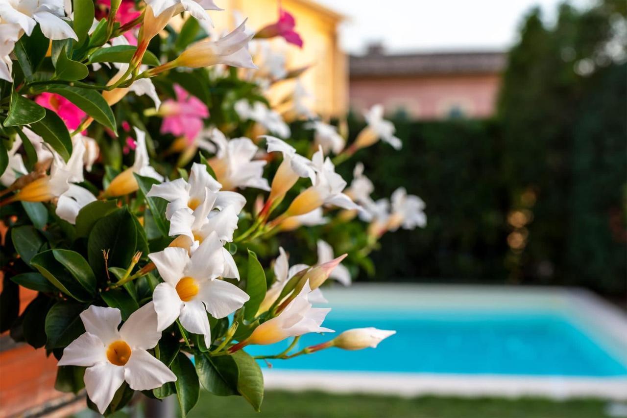Albergo Ristorante Il Terziere Trevi Ngoại thất bức ảnh